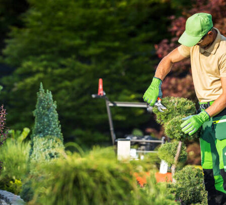 Gartenarbeiten im Herbst